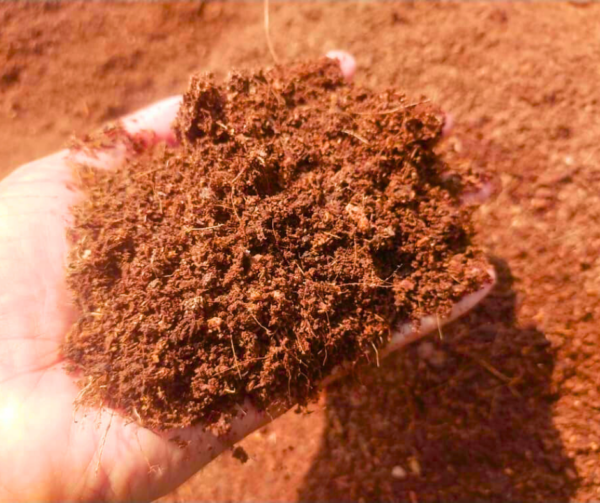 Cocodust (কোকো ডাস্ট) ১ কেজি