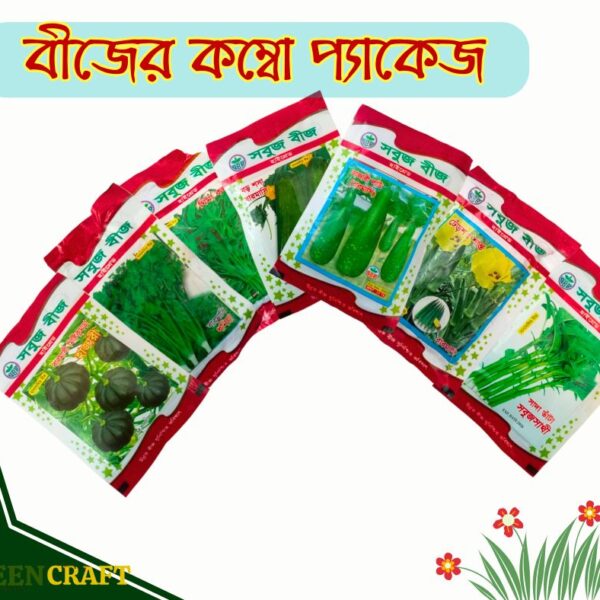 ১০ প্রকার বীজের কম্বো অফার