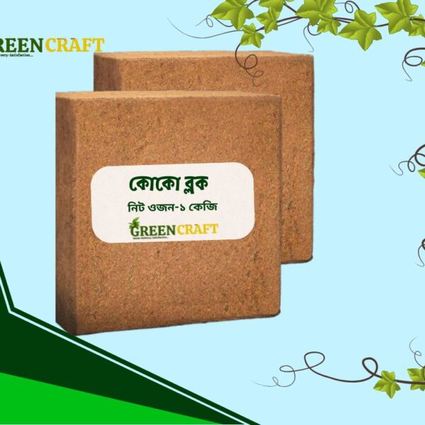 কোকো ব্লক ১ কেজি