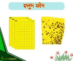 হলুদ ফাঁদ