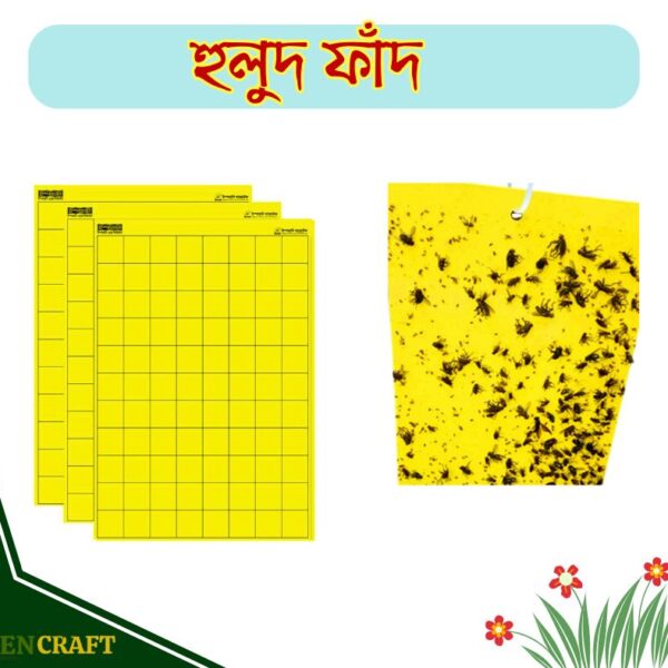 হলুদ ফাঁদ