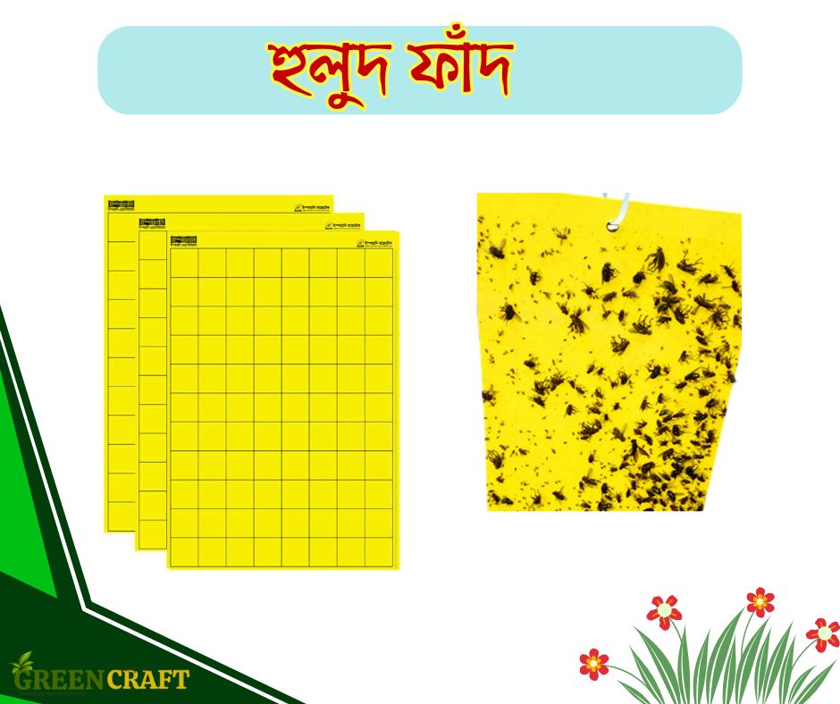 হলুদ ফাঁদ