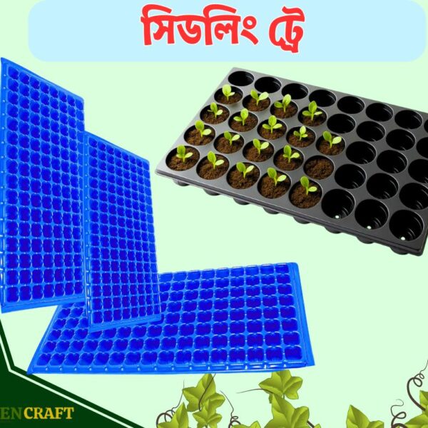 Seedling Tray-72/105/128 Cells